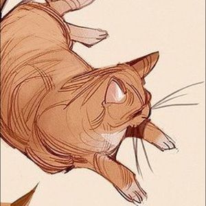 Meet your Posher, Eva